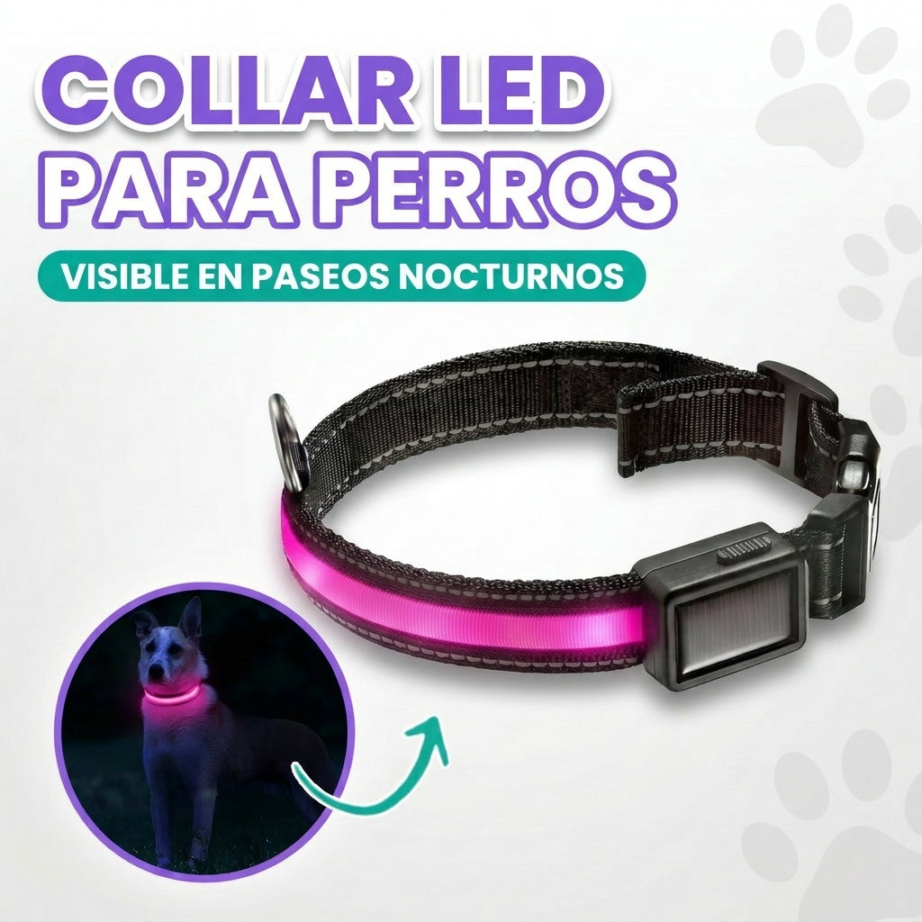 Collar LED para perros