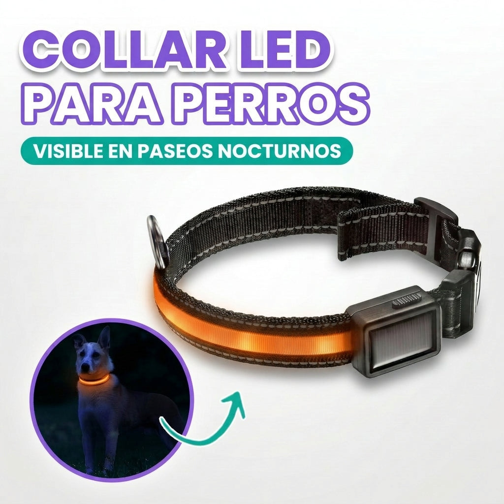 Collar LED para perros
