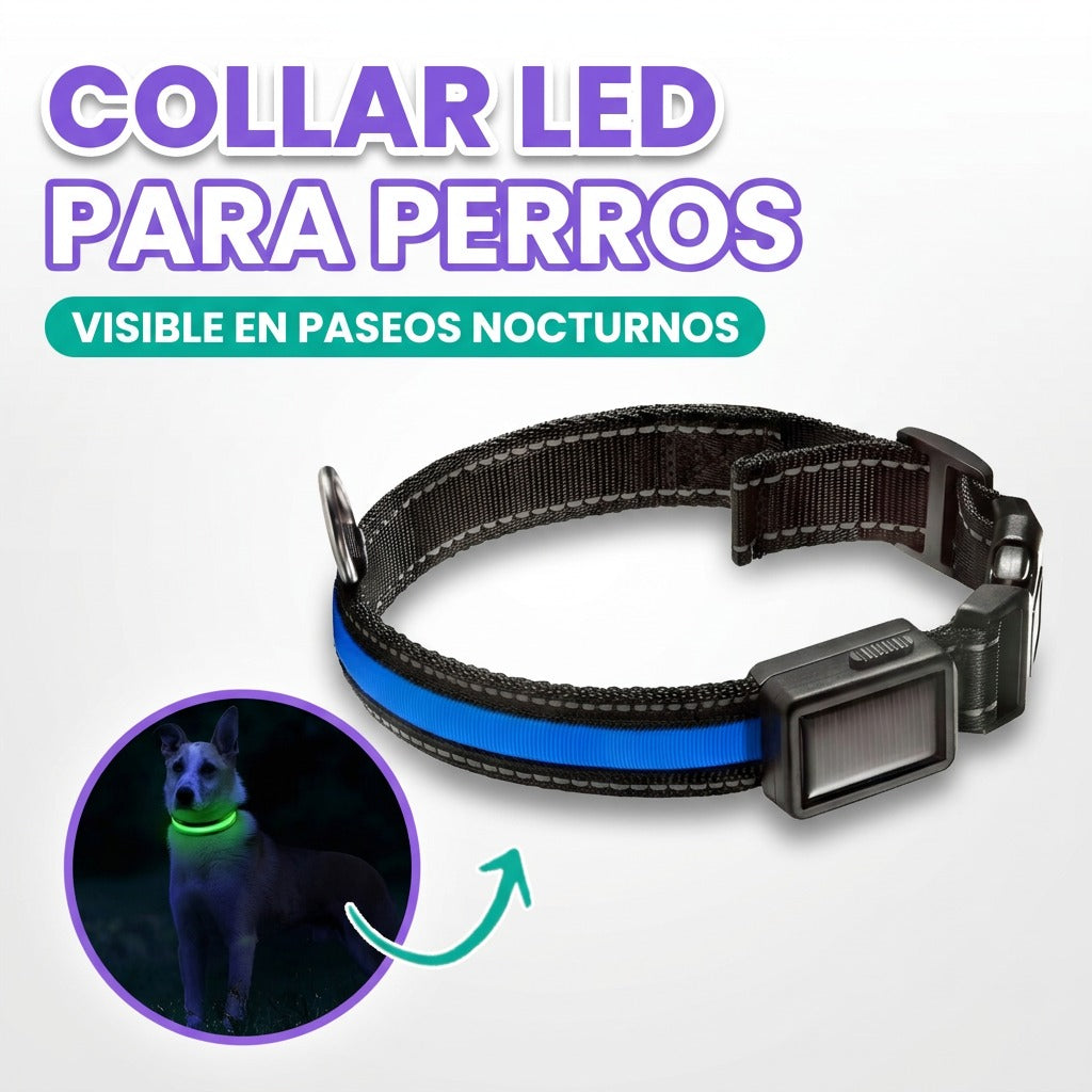 Collar LED para perros