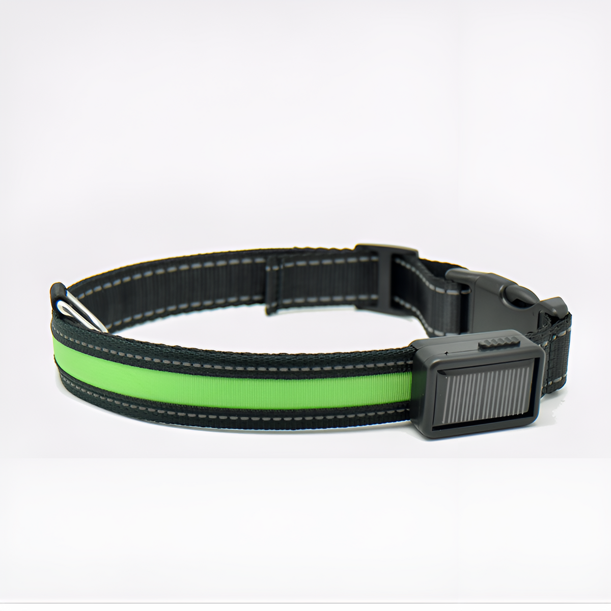 Collar LED para perros – Comprar al mejor precio en NQLN Store Venezuela