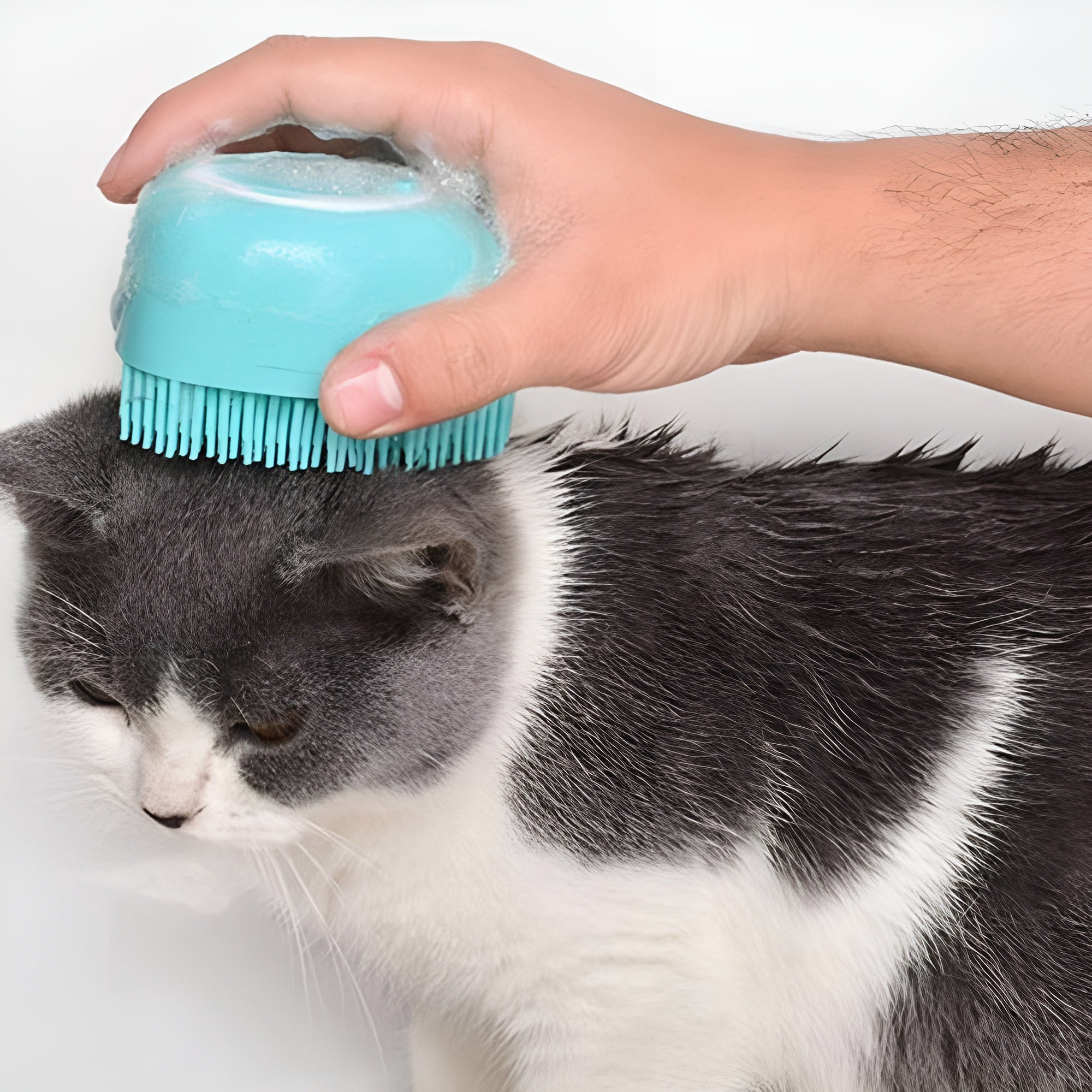Cepillo de Silicona Exfoliante para perro – NQLN Store Venezuela, tienda online con envío a todo el país