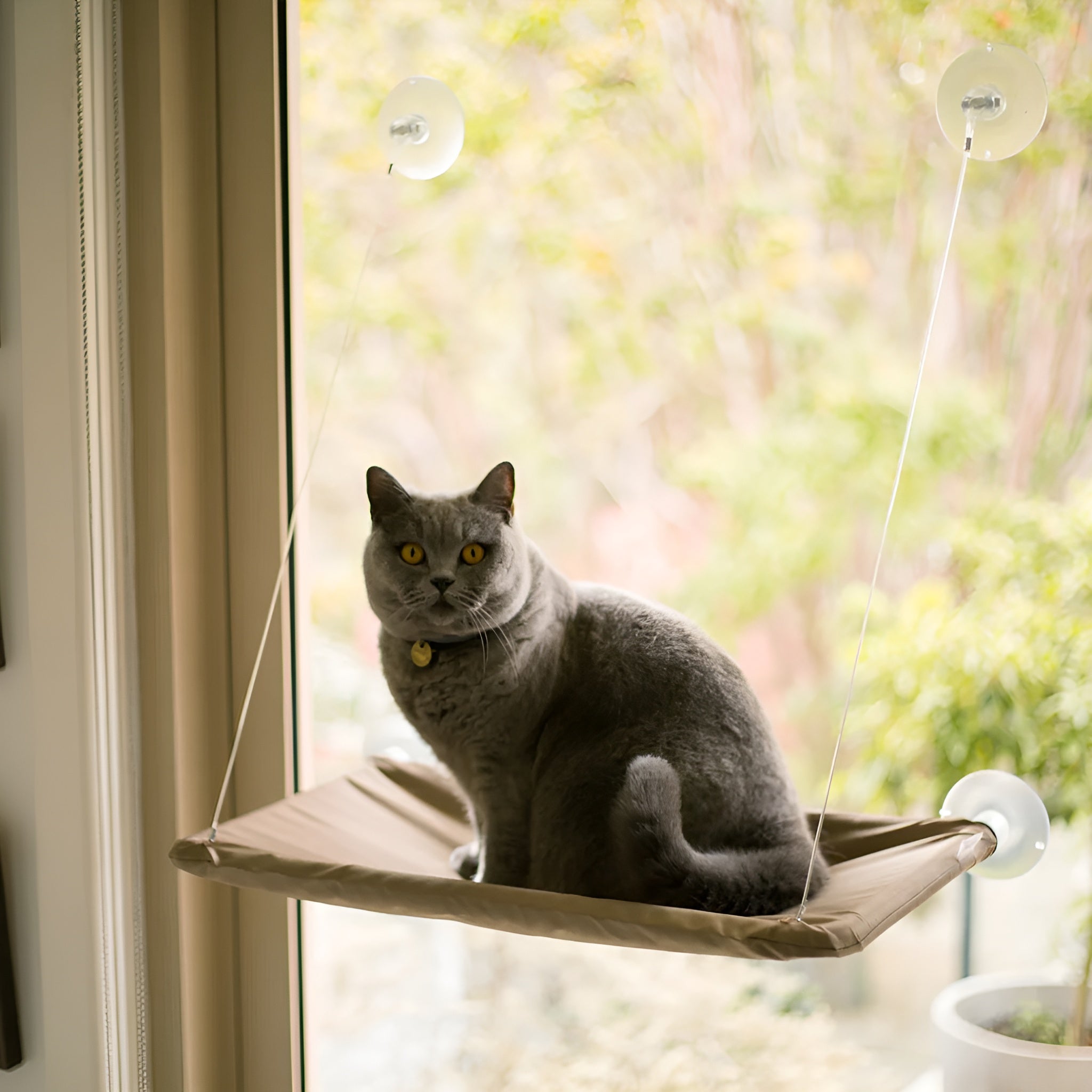 Hamaca para gatos – Tienda online NQLN Store Venezuela