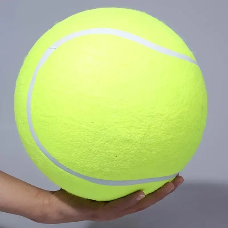 Pelota de tennis para mascotas – Comprar en Caracas, Margarita y toda Venezuela – NQLN Store