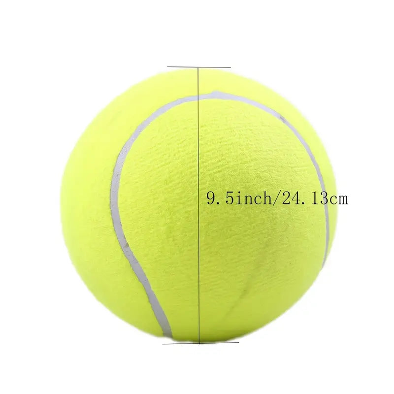 Pelota de tennis para mascotas – Vista de cerca del producto – NQLN Store
