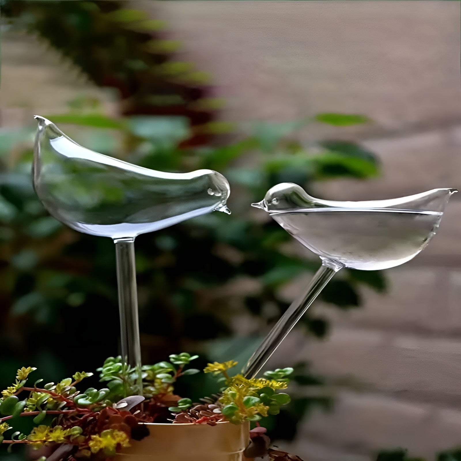 Dispensador automatico de agua para plantas – Al mejor precio en NQLN Store Caracas y Margarita