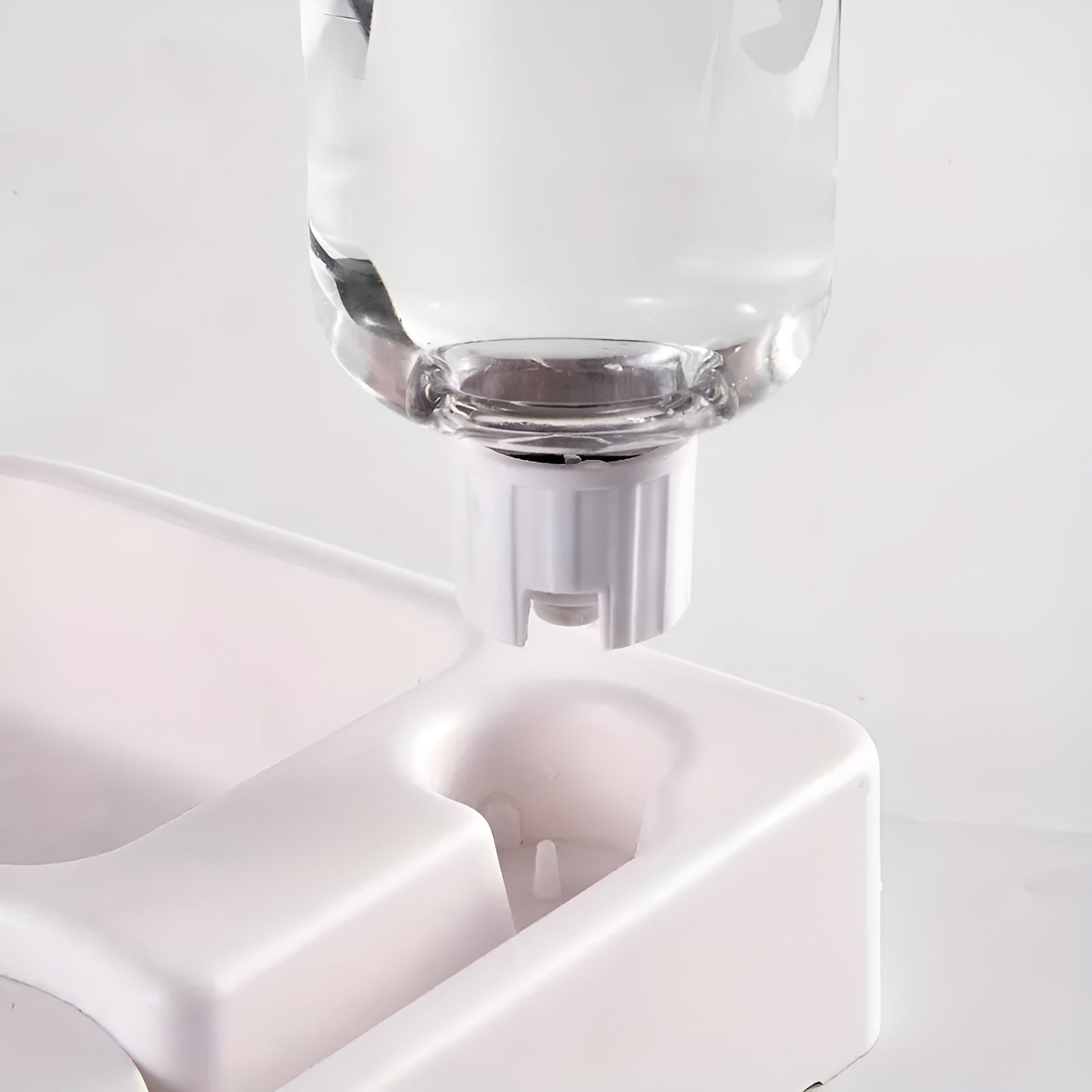 Dispensador de esquina en forma de corazón para mascota – Vista de cerca del producto – NQLN Store