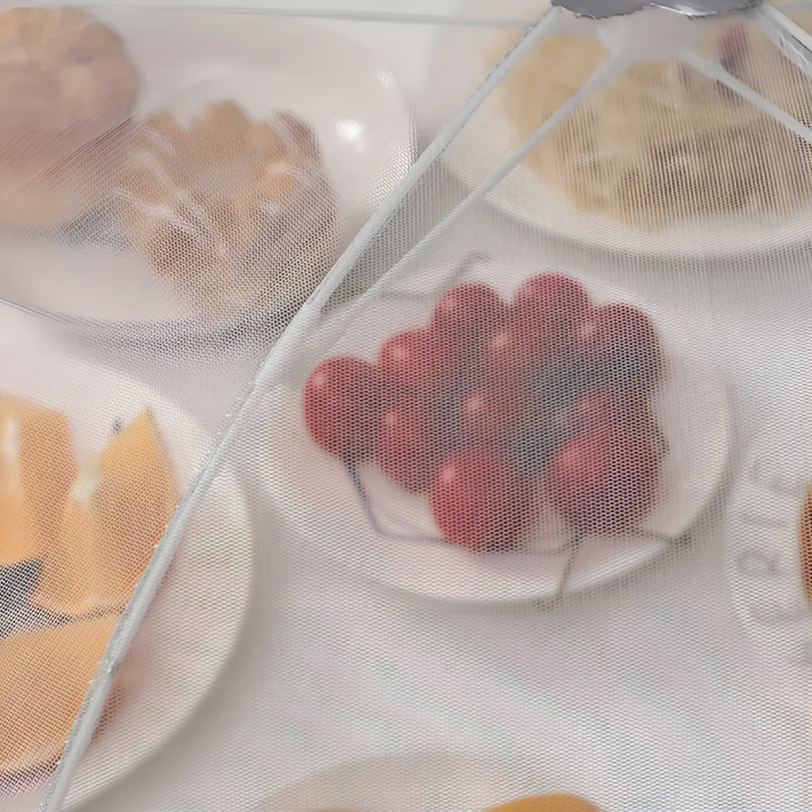 Cubierta Para Comida A Prueba De Polvo – Tienda online NQLN Store Venezuela