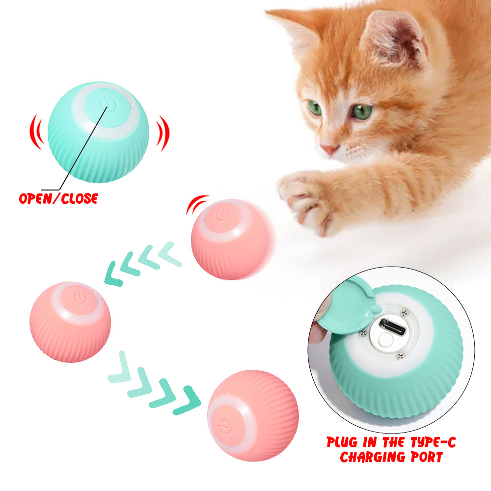 Pelota interactiva para gato para mascota – Al mejor precio en NQLN Store Caracas y Margarita