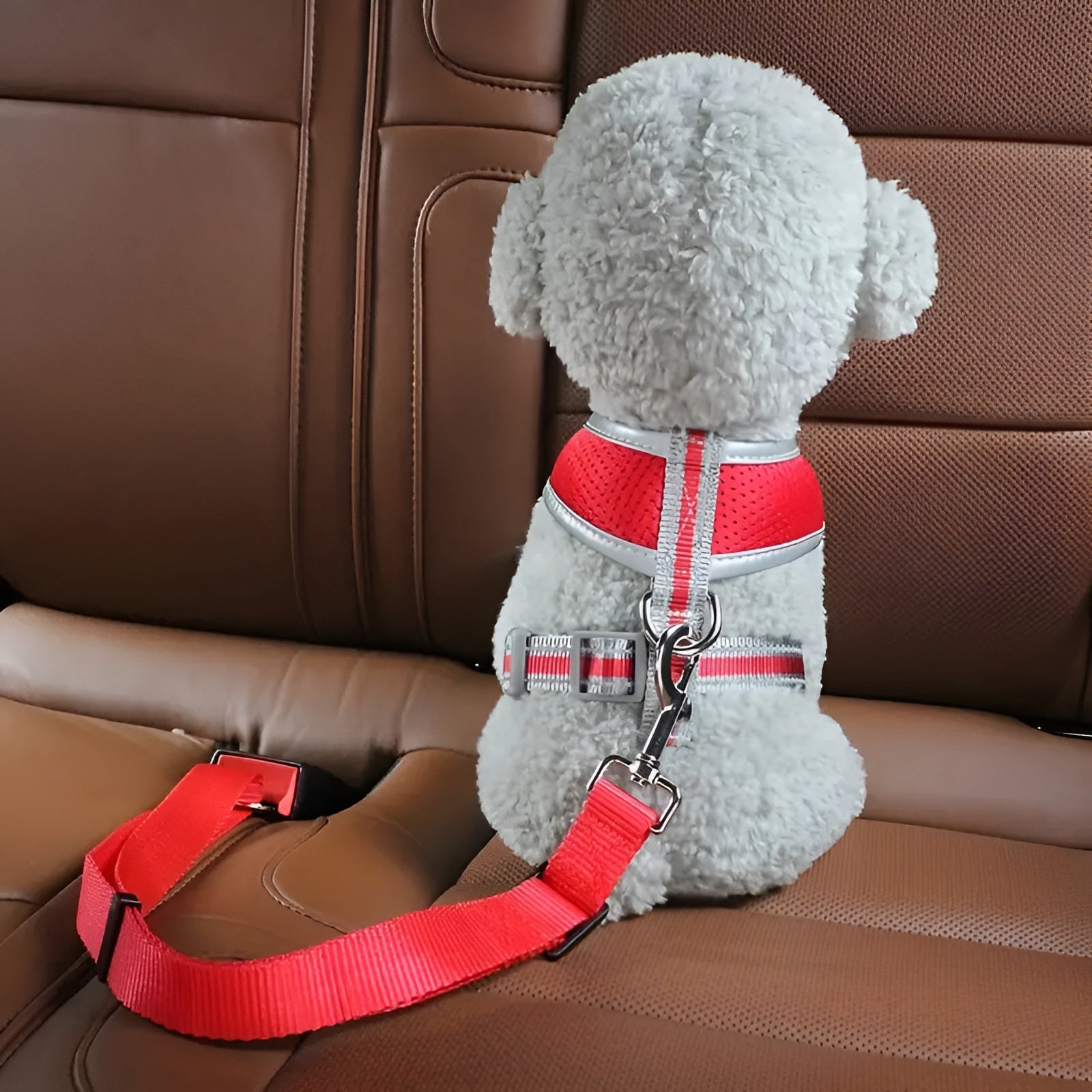 Cinturon de seguridad de mascotas para carros – Envío a toda Venezuela – NQLN Store