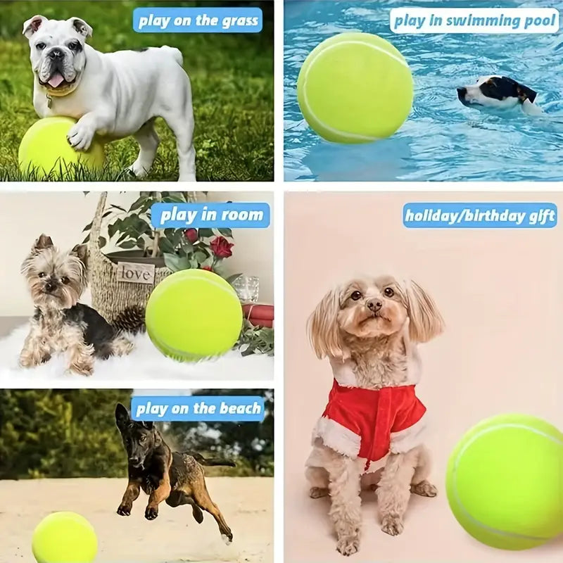 Pelota de tennis para mascotas – Tienda online NQLN Store Venezuela