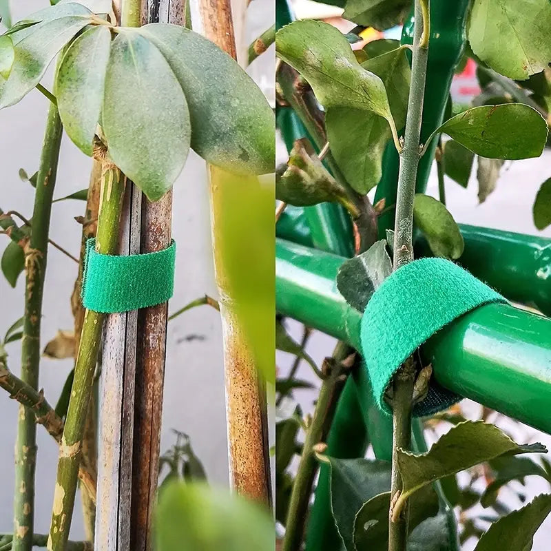 Rollos de Cinta para Amarrar Plantas – Comprar online en NQLN Store Venezuela con envío a todo el país