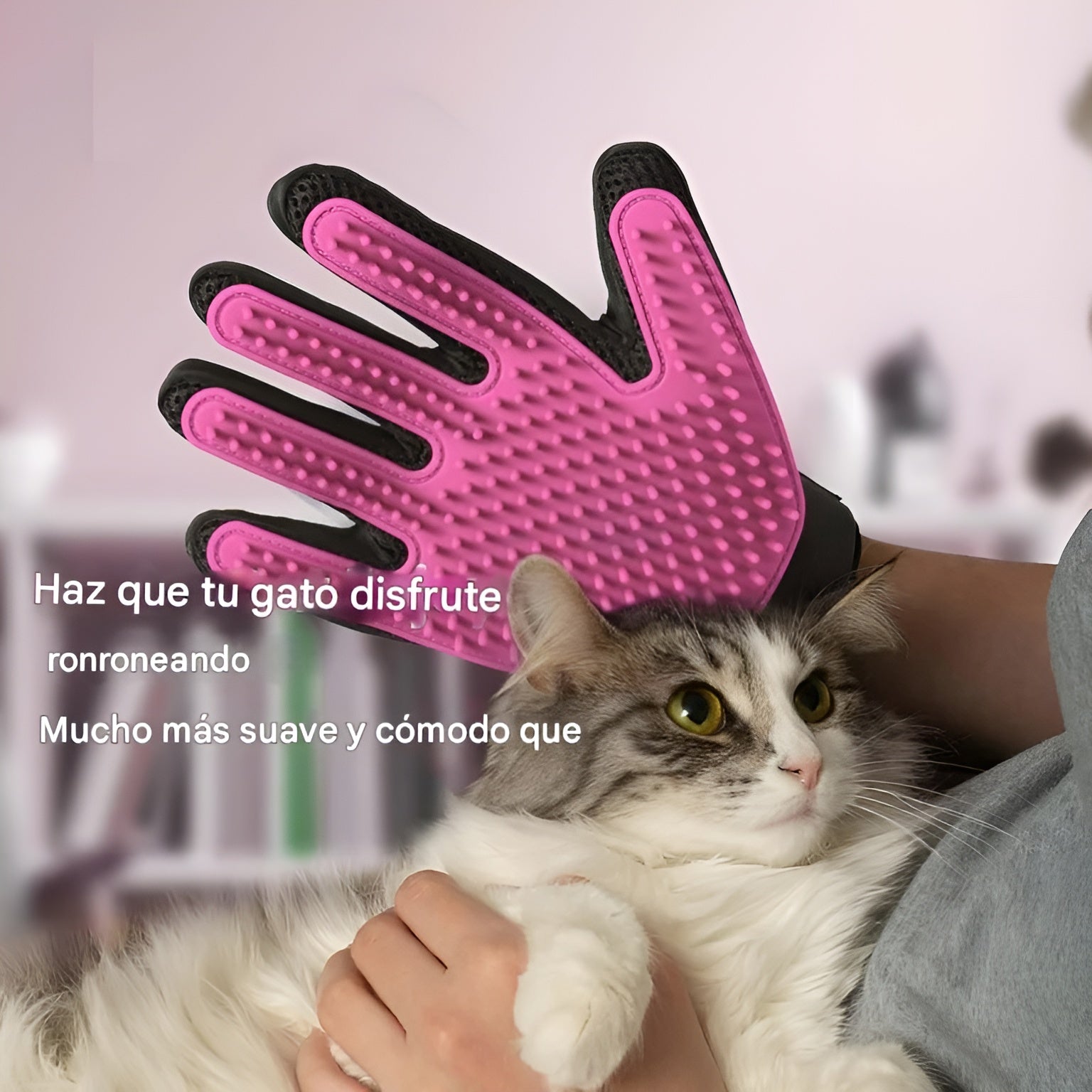 Guante quita pelusa para mascotas – Envío a toda Venezuela – NQLN Store