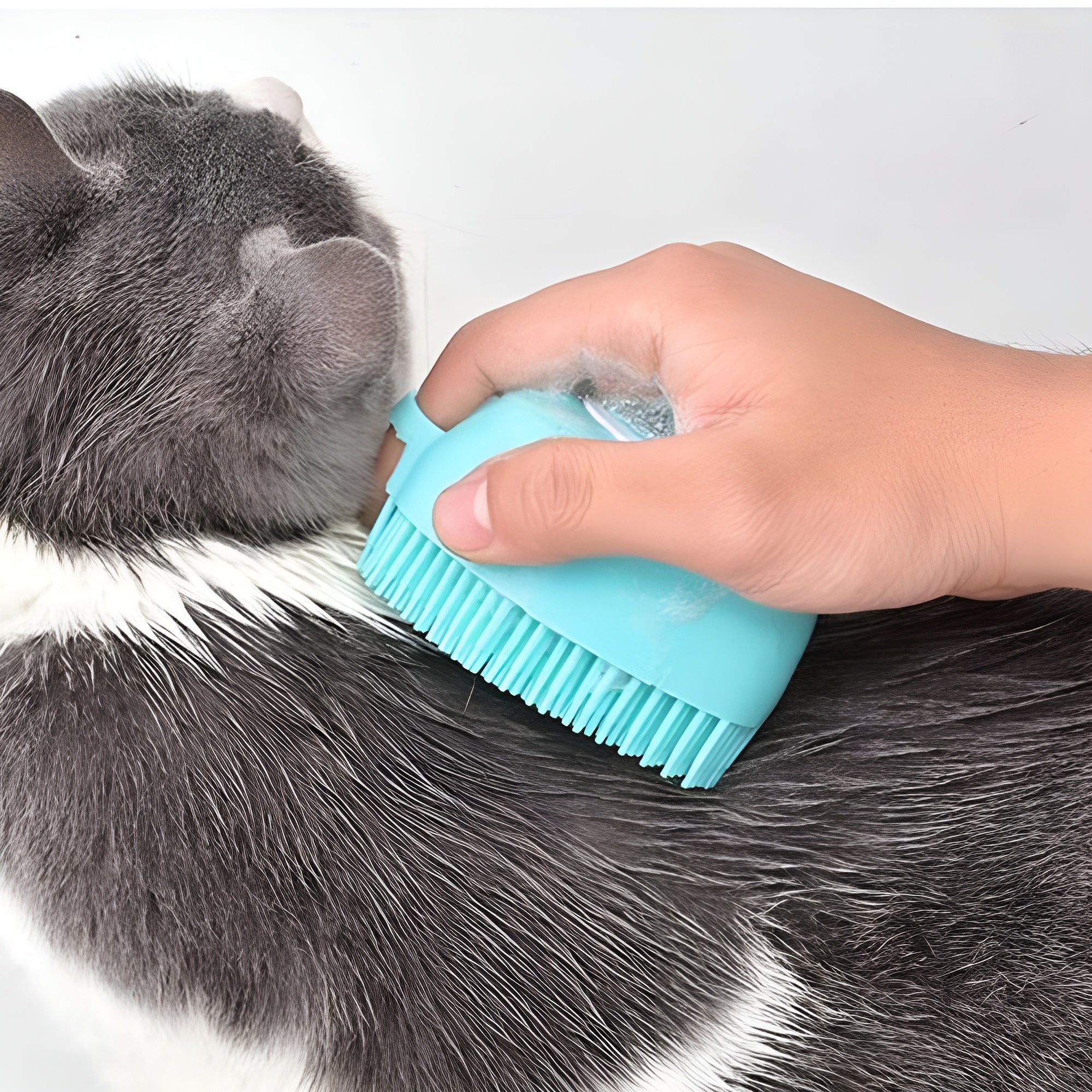 Cepillo de Silicona Exfoliante para perro – Envío a toda Venezuela – NQLN Store