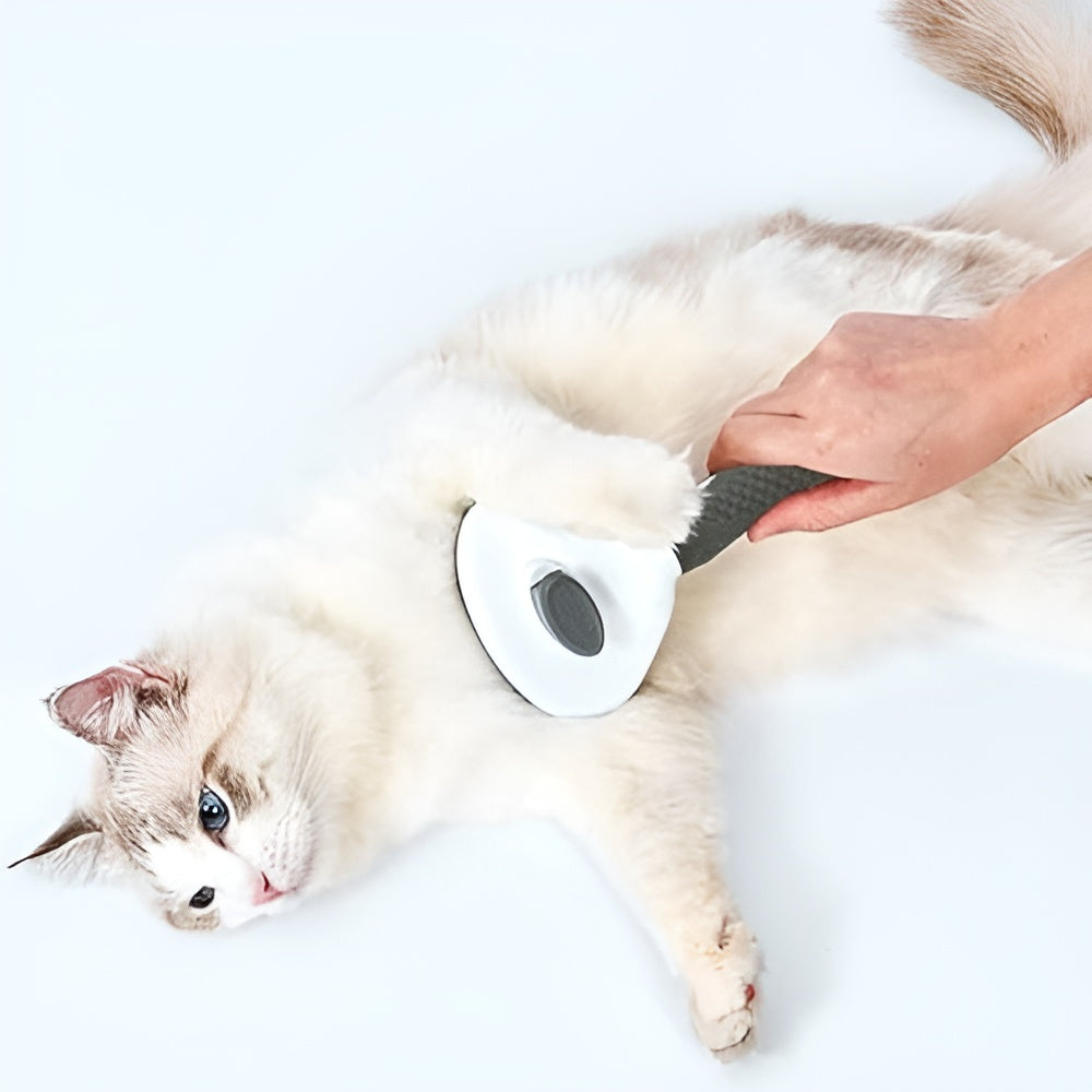 Cepillo Removedor de Pelo Para Mascotas – Detalle de calidad y acabado – NQLN Store