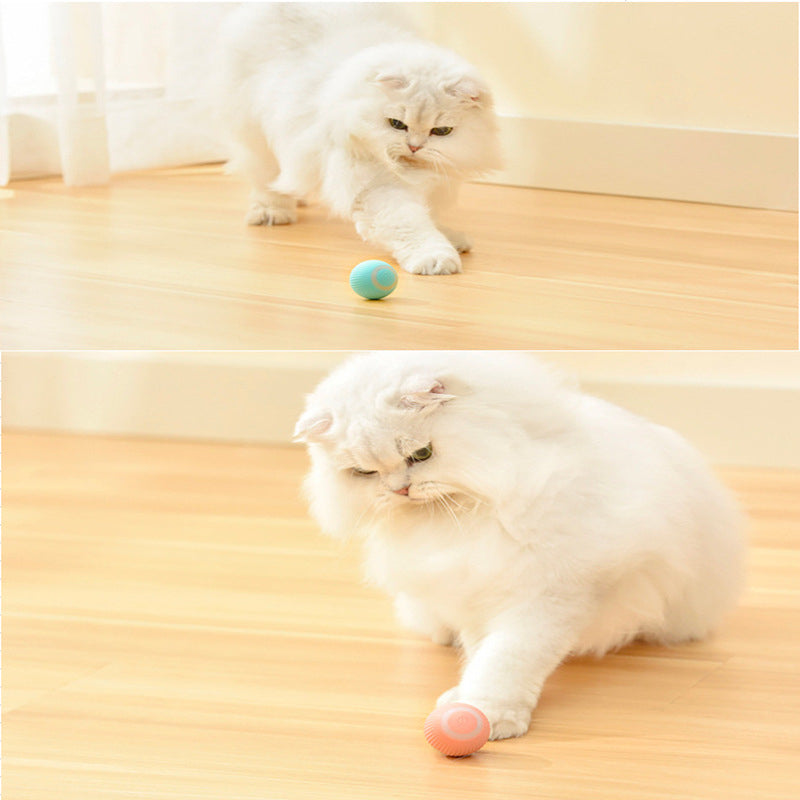 Pelota interactiva para gato para mascota – Envío a toda Venezuela – NQLN Store