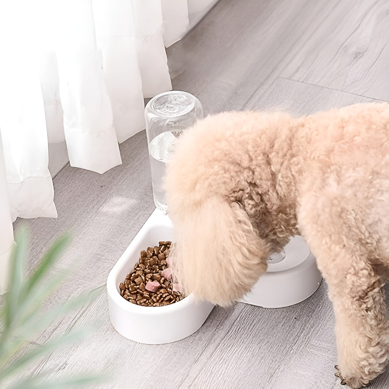 Dispensador de esquina en forma de corazón para mascota – Comprar en Caracas, Margarita y toda Venezuela – NQLN Store