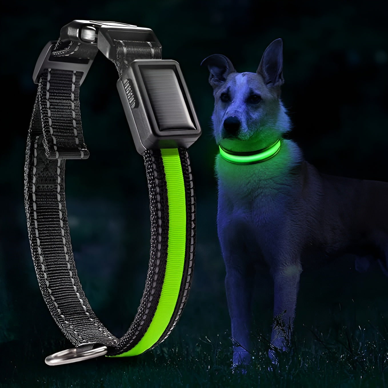 Collar LED para perros – Comprar online en NQLN Store Venezuela con envío a todo el país