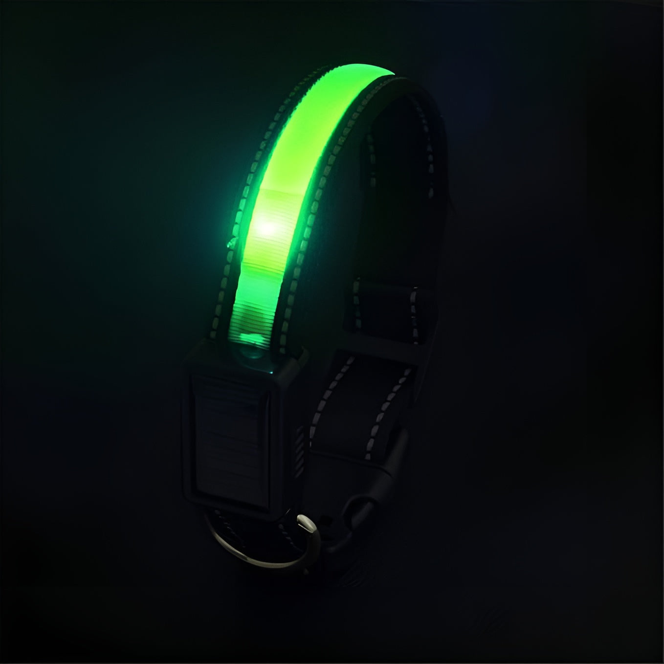 Collar LED para perros – Comprar al mejor precio en NQLN Store Venezuela