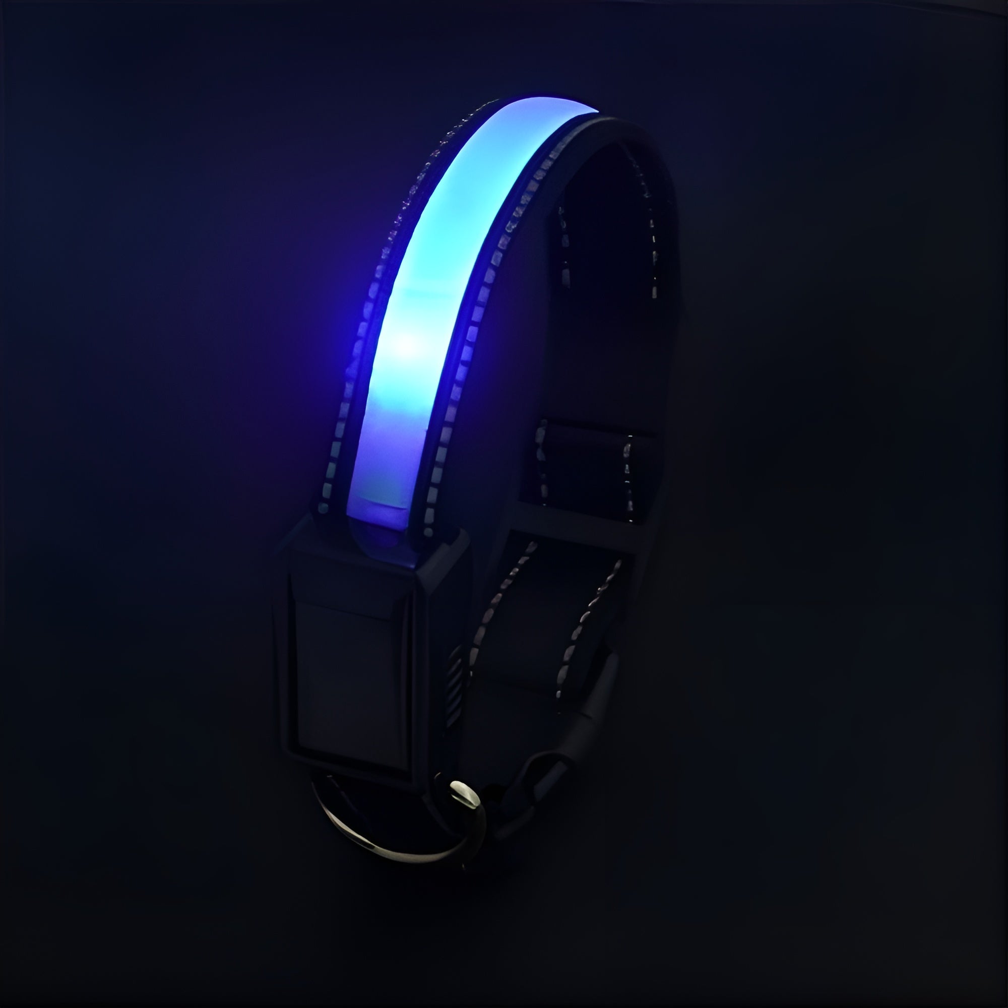 Collar LED para perros – Comprar al mejor precio en NQLN Store Venezuela