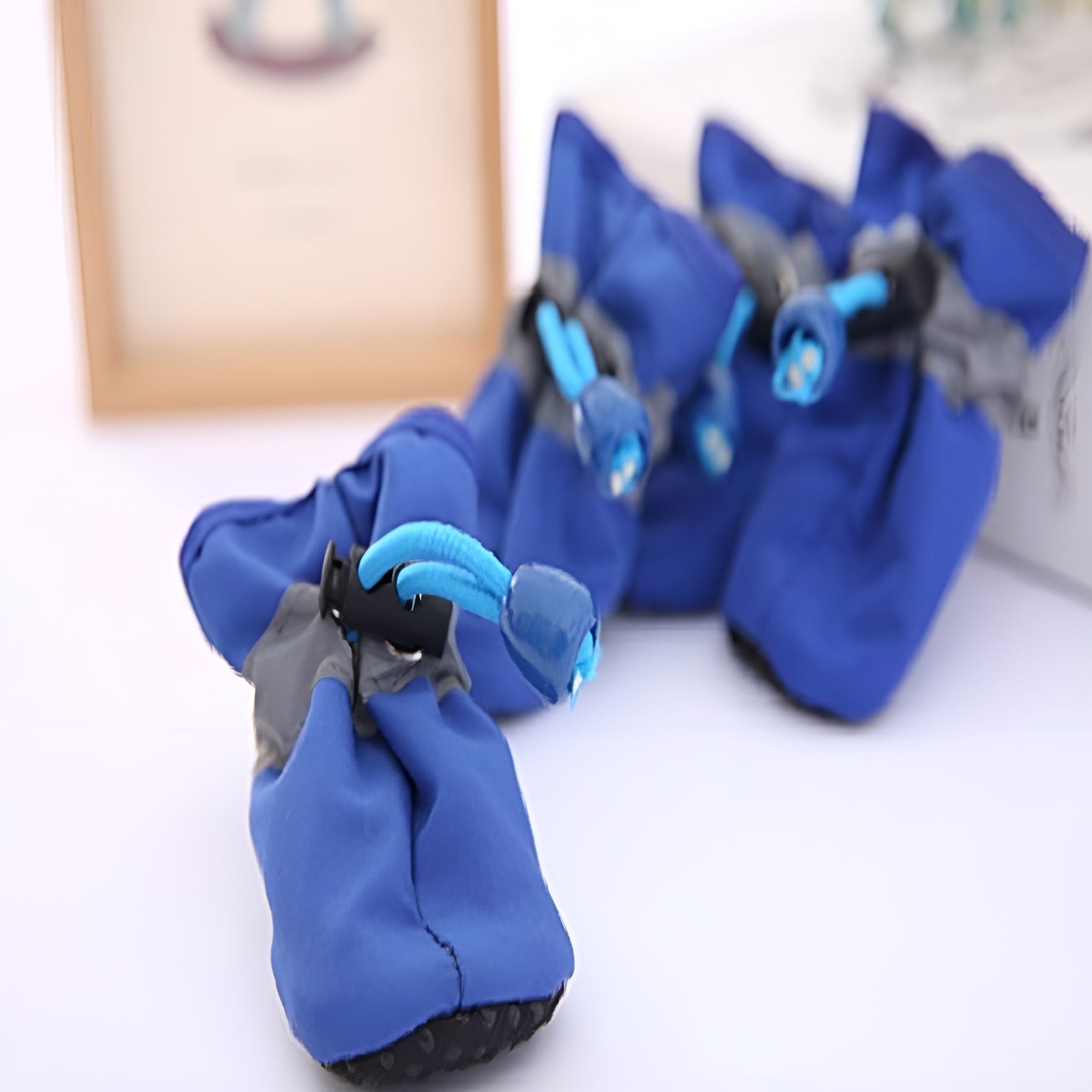 Zapatos para Perros Talla pequeña – Comprar en Caracas, Margarita y toda Venezuela – NQLN Store
