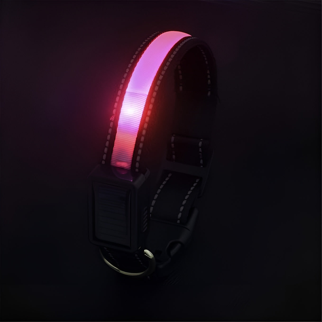 Collar LED para perros – Comprar al mejor precio en NQLN Store Venezuela