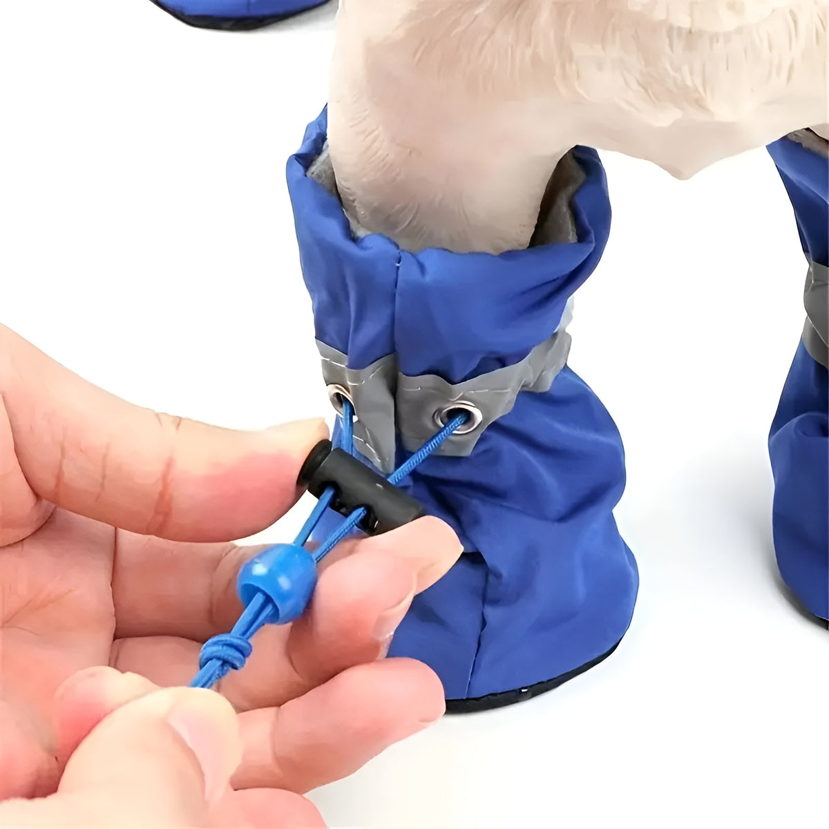 Zapatos para Perros Talla pequeña – Disponible en NQLN Store con envío gratis desde $20