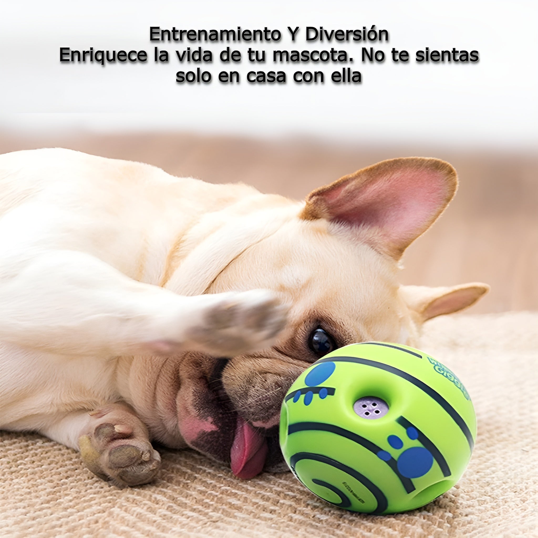 Pelota interactiva para perros – Tienda online NQLN Store Venezuela
