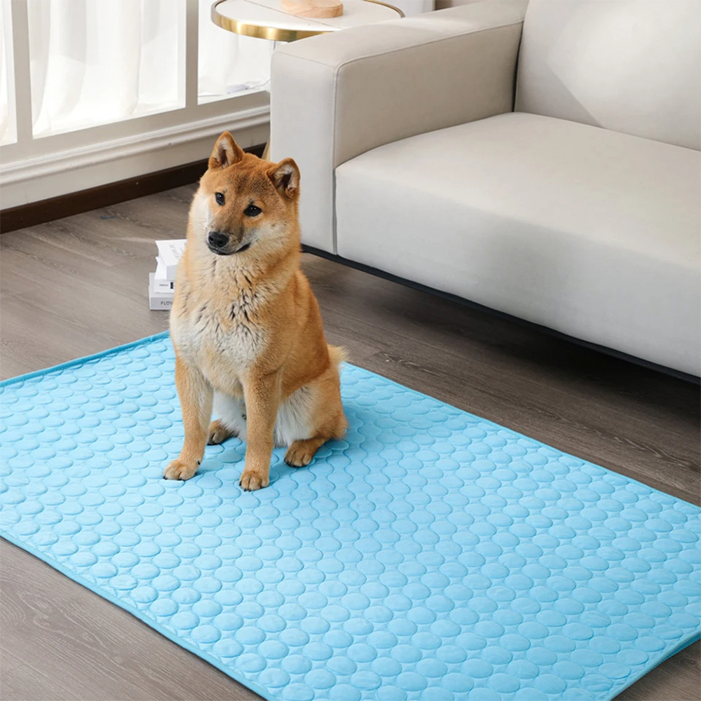 Alfombra de enfriamiento para mascotas – Al mejor precio en NQLN Store Caracas y Margarita