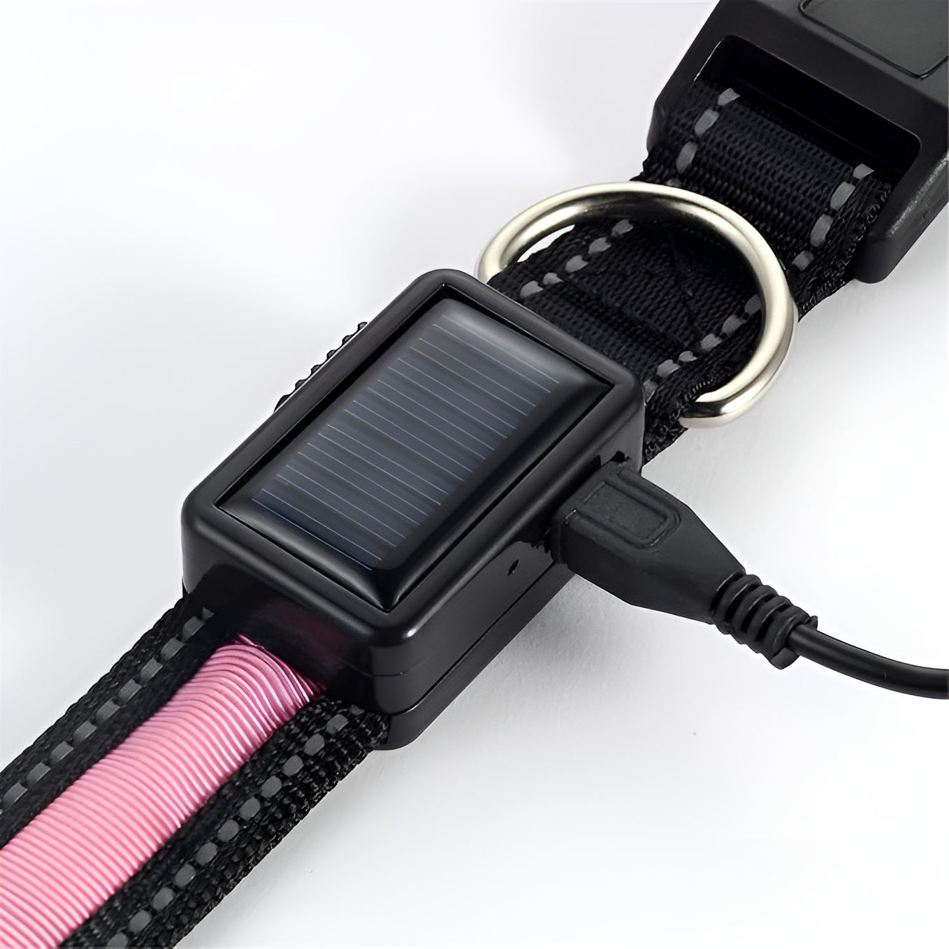 Collar LED para perros – Comprar al mejor precio en NQLN Store Venezuela