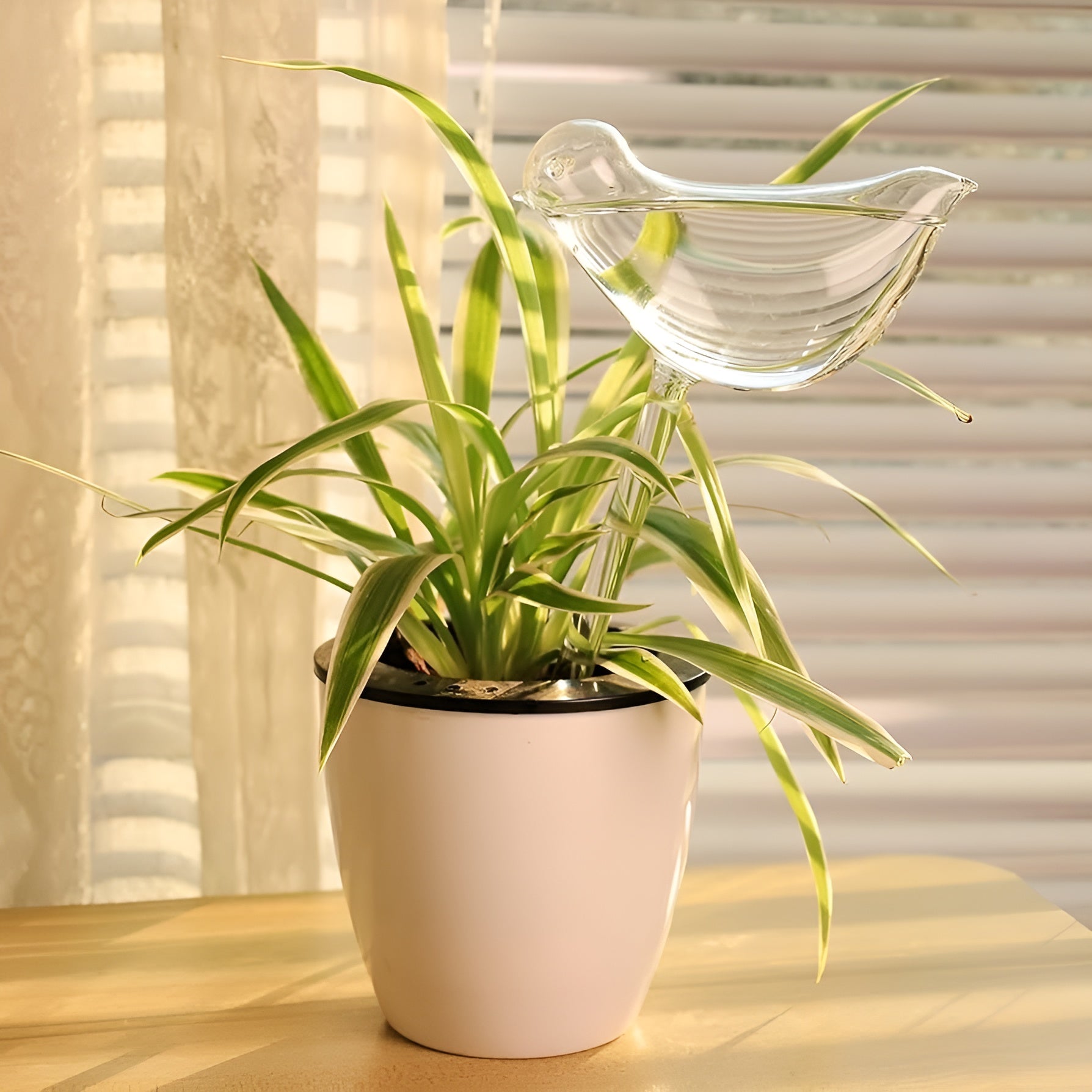 Dispensador automatico de agua para plantas – Envío a toda Venezuela – NQLN Store