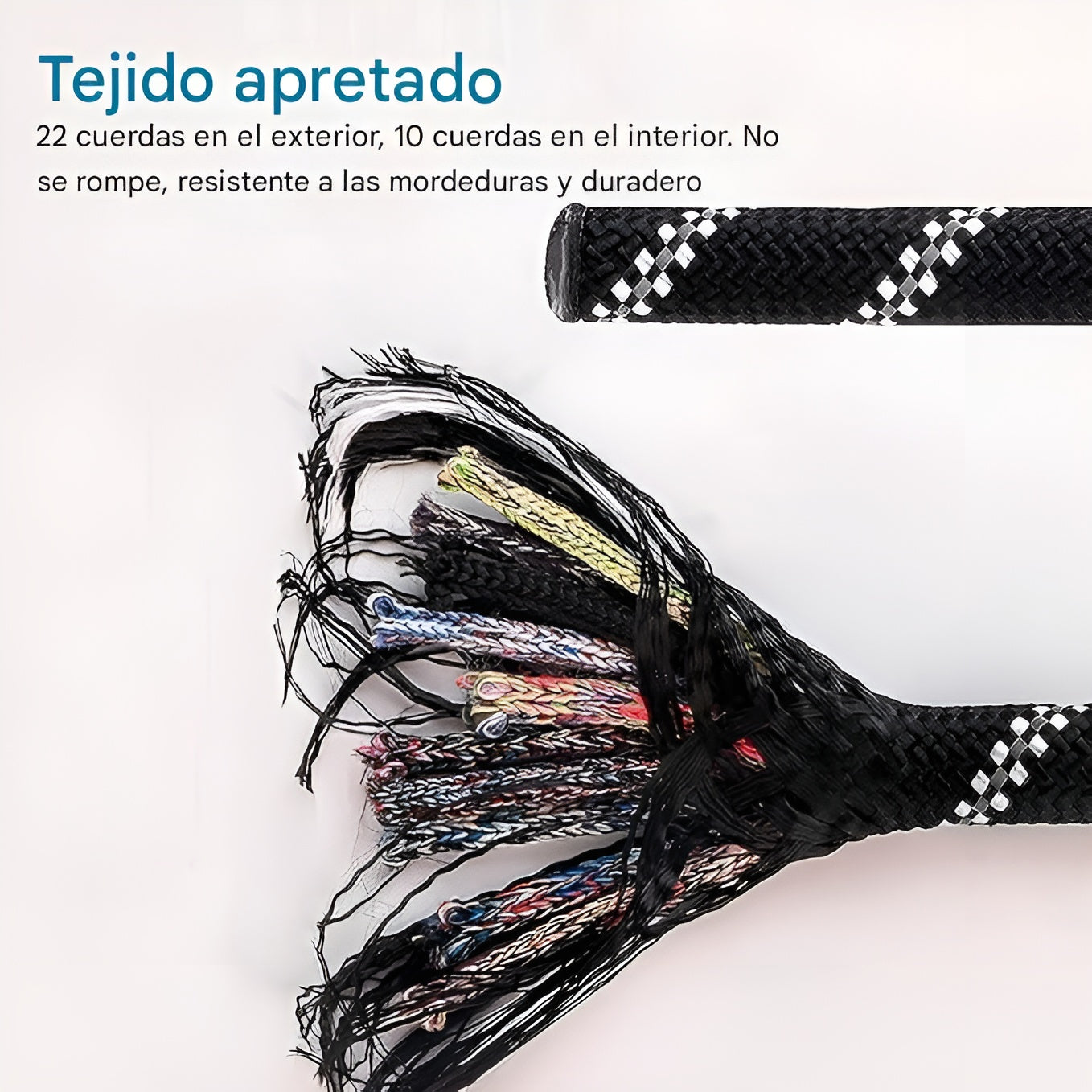 Correa para perro de nylon para paseo para mascota – Comprar al mejor precio en NQLN Store Venezuela