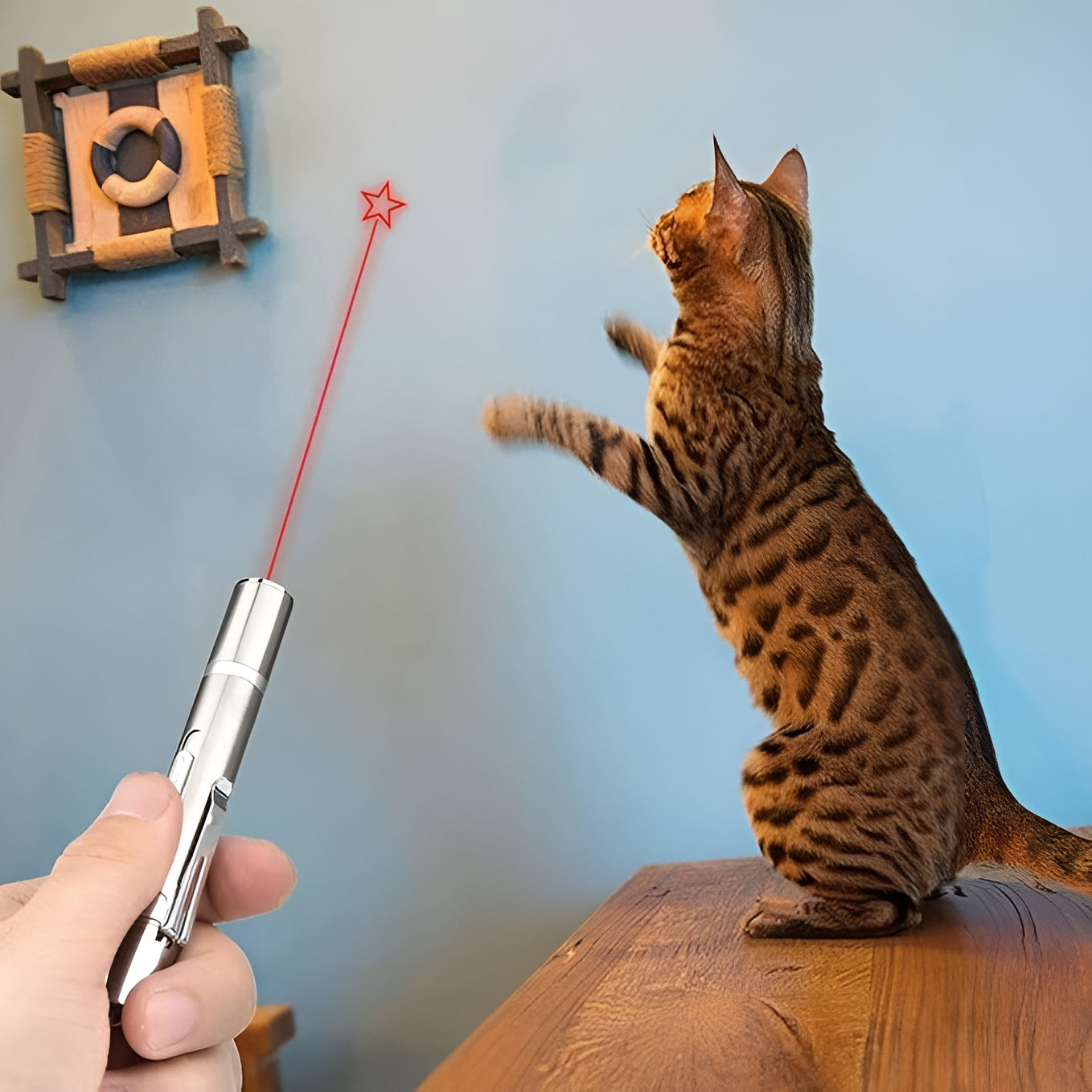 Juguete laser para mascotas – Vista de cerca del producto – NQLN Store