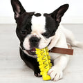 Cepillo de dientes Molar para perros – Vista detalle del producto – NQLN Store