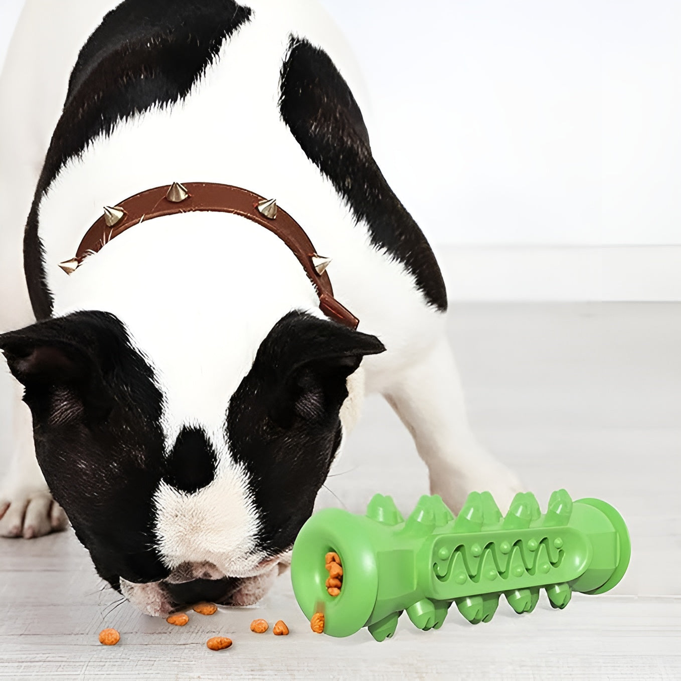 Cepillo de dientes Molar para perros – Detalle de calidad y acabado – NQLN Store