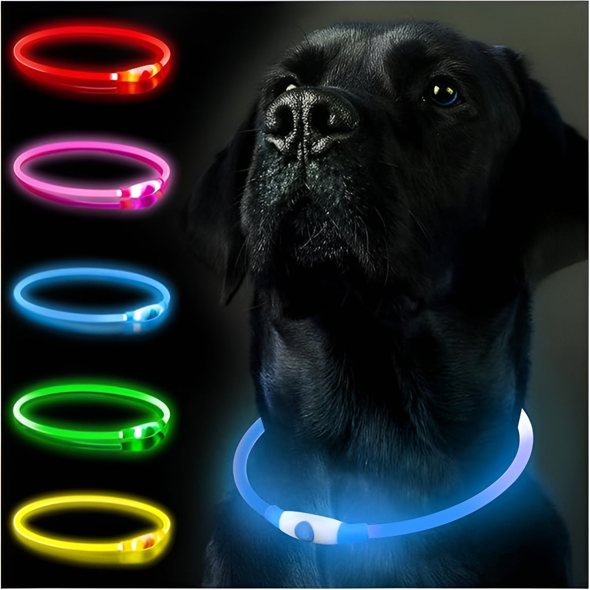 Collar Led para Mascotas Ajustable – Vista detalle del producto – NQLN Store