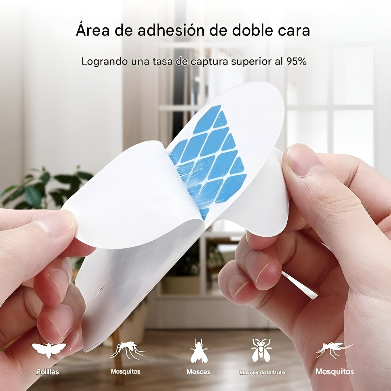 Repuesto para trampa insecto Vauli (10 unidades) – Comprar en Caracas, Margarita y toda Venezuela – NQLN Store