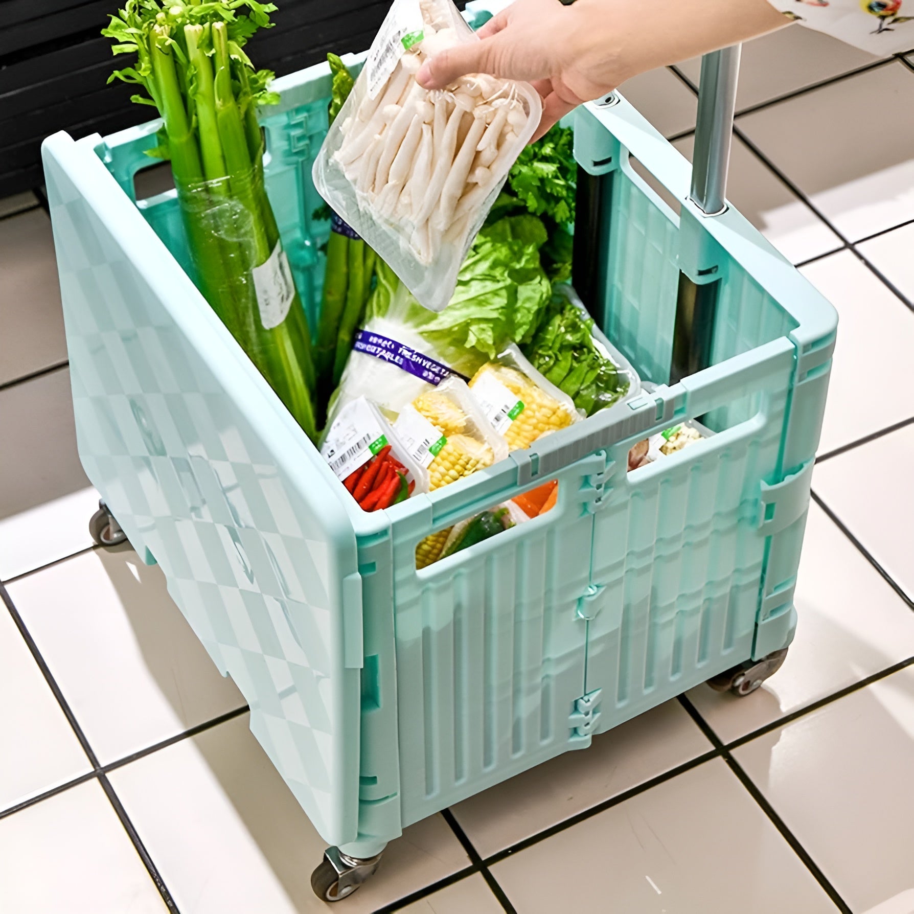 Carrito de compras portatil para uso domestico – Comprar al mejor precio en NQLN Store Venezuela