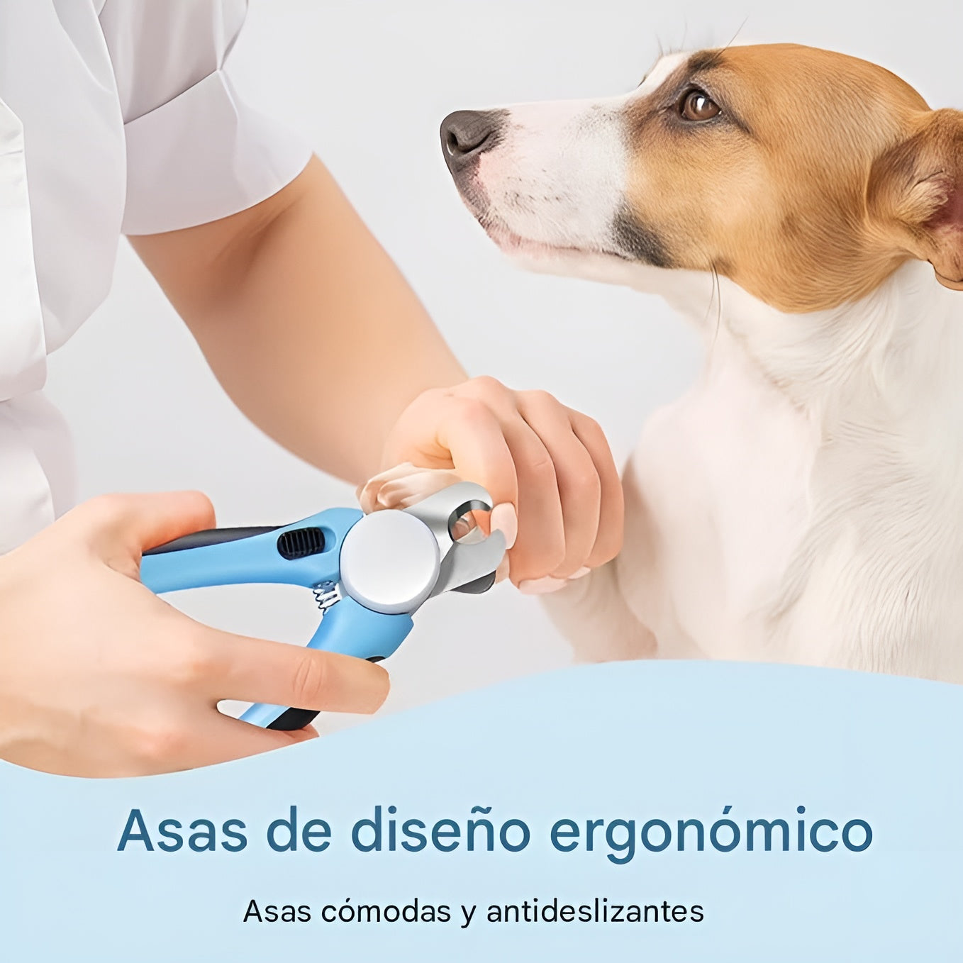 Corta uñas para mascota – Envío a toda Venezuela – NQLN Store