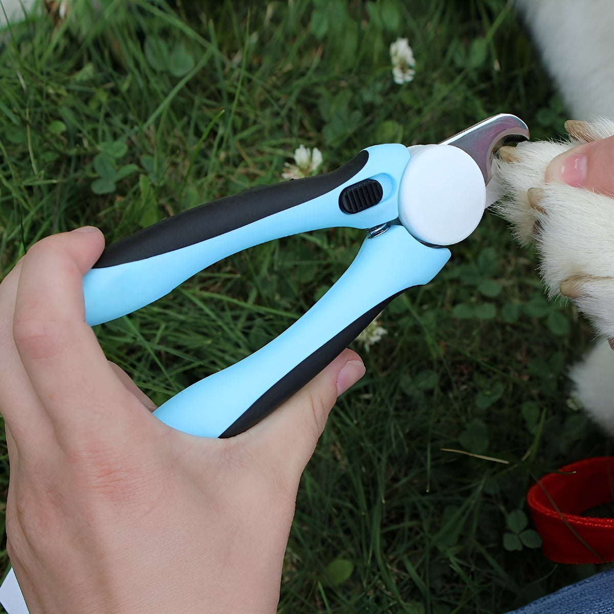 Corta uñas para mascota – NQLN Store Venezuela, tienda online con envío a todo el país