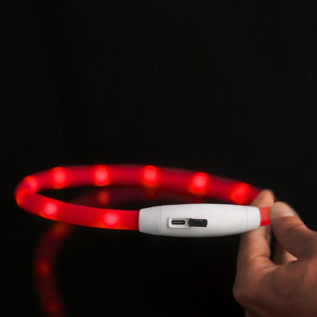 Collar Led para Mascotas Ajustable – Comprar al mejor precio en NQLN Store Venezuela