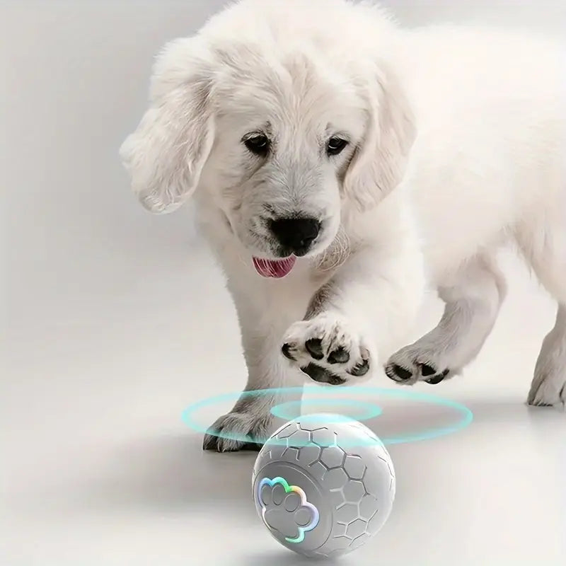 Pelota interactiva para perros – Presentación del producto – Comprar en NQLN Store