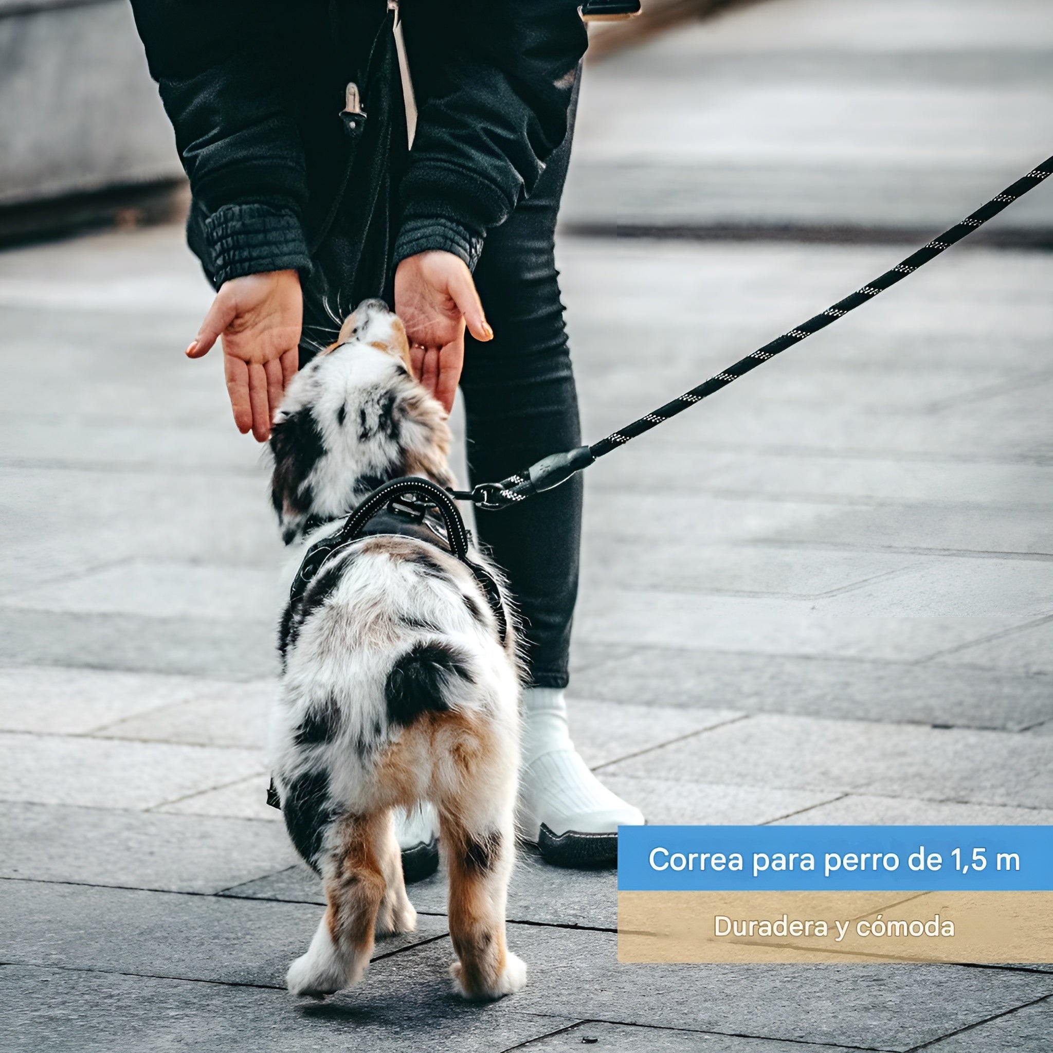 Correa para perro de nylon para paseo para mascota – Comprar al mejor precio en NQLN Store Venezuela