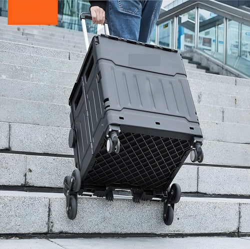 Carrito de compras portatil para uso domestico
