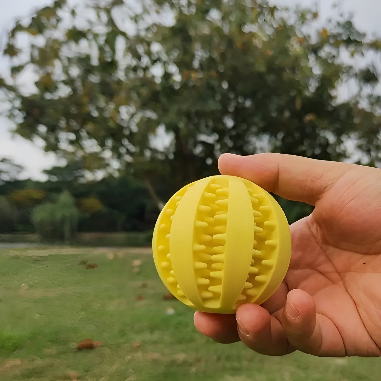 Pelota interactiva para alimentos mascota – Envío a toda Venezuela – NQLN Store
