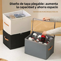 Caja de almacenamiento de zapatos