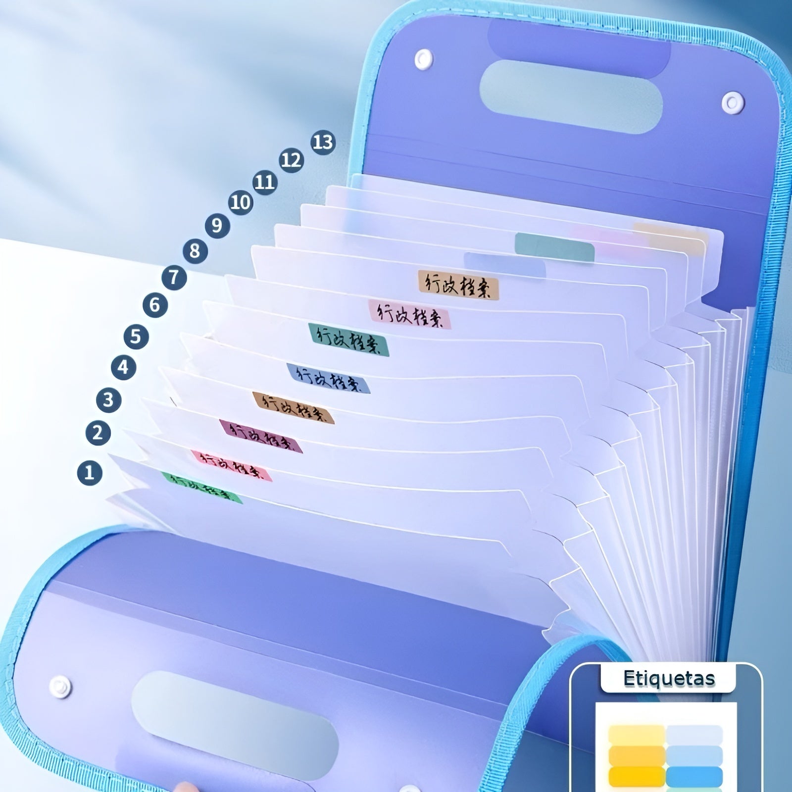 Carpeta organizadora archivadora – Vista adicional – Disponible en NQLN Store Venezuela