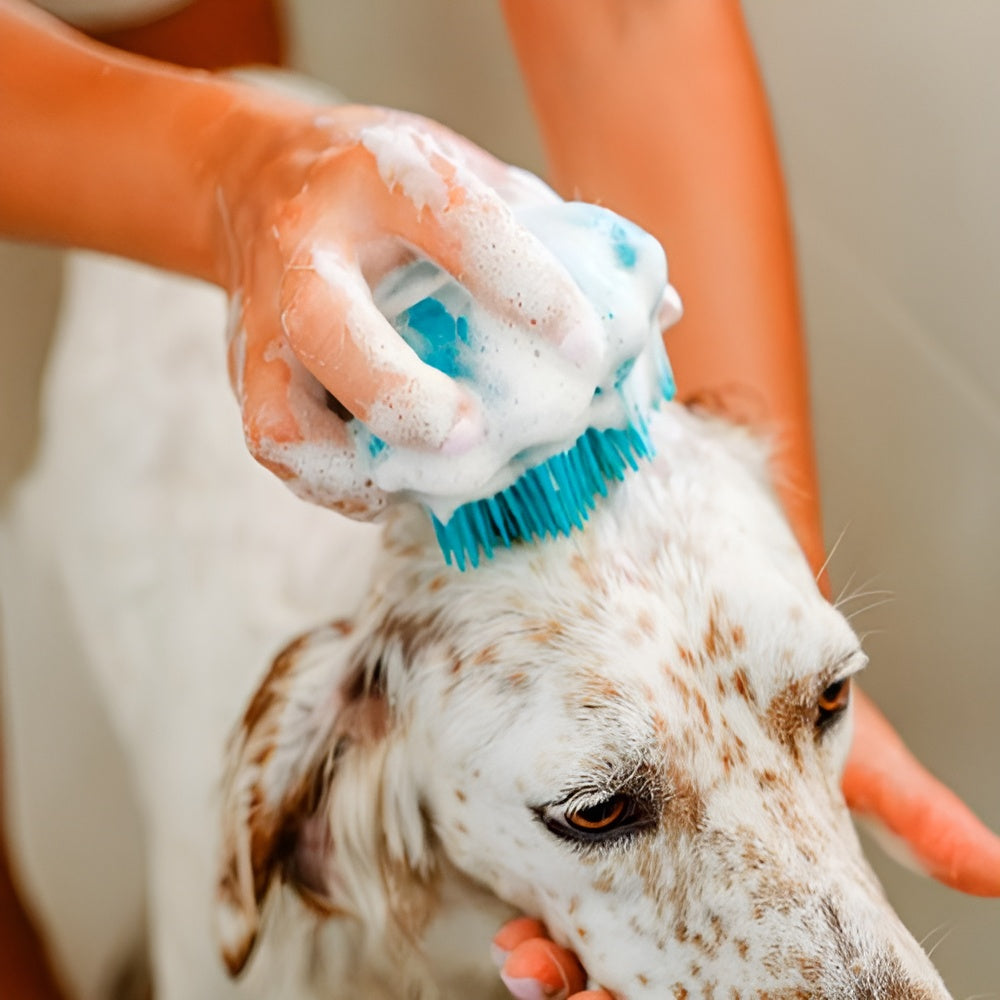 Cepillo de Silicona Exfoliante para perro – Envío a toda Venezuela – NQLN Store