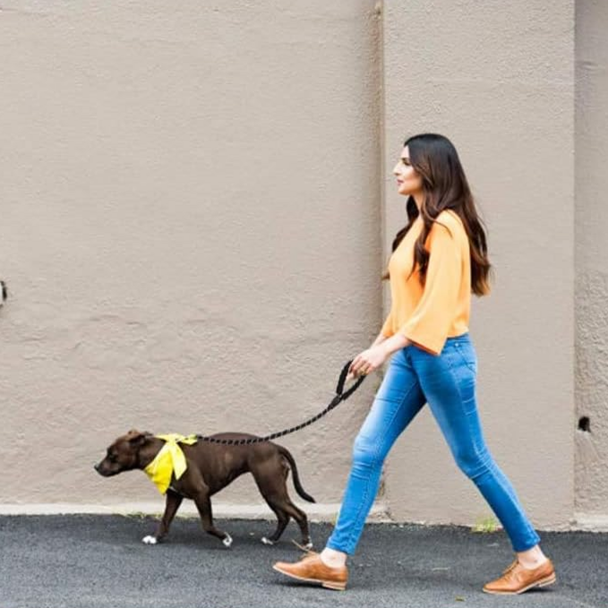 Correa para perro de nylon para paseo para mascota – Comprar al mejor precio en NQLN Store Venezuela