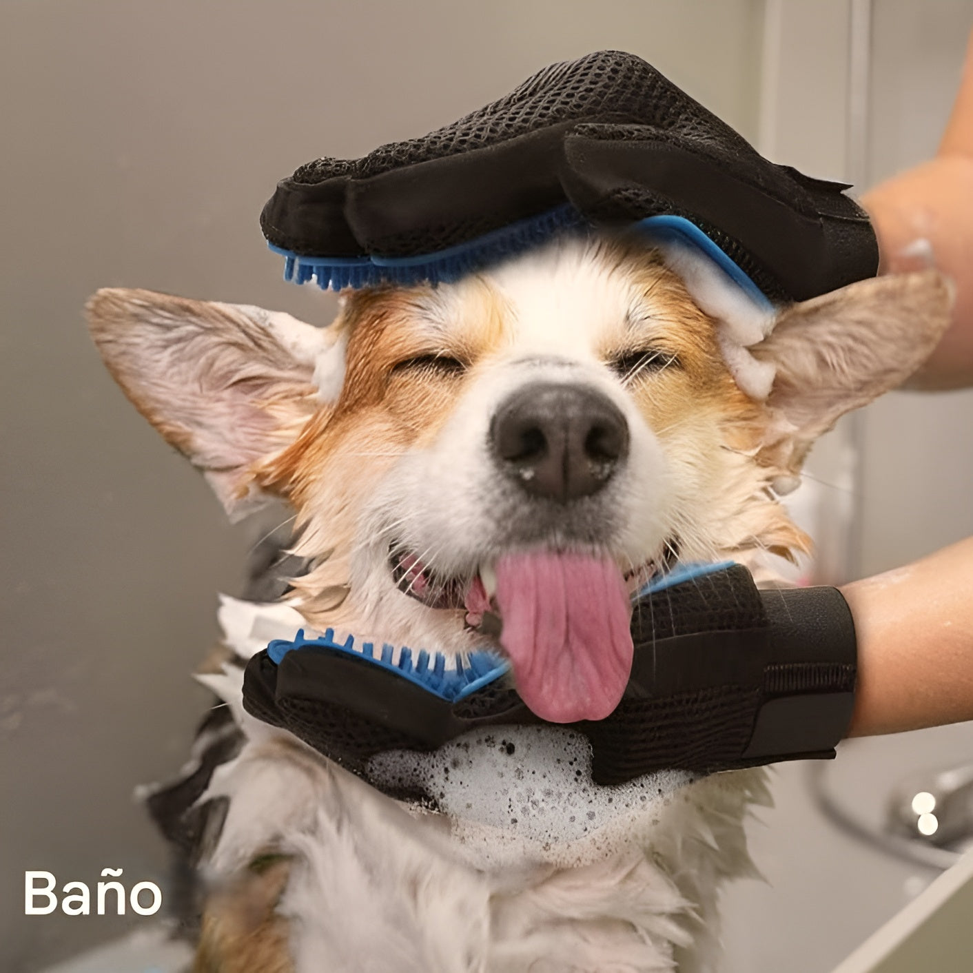 Guante quita pelusa para mascotas – Envío a toda Venezuela – NQLN Store