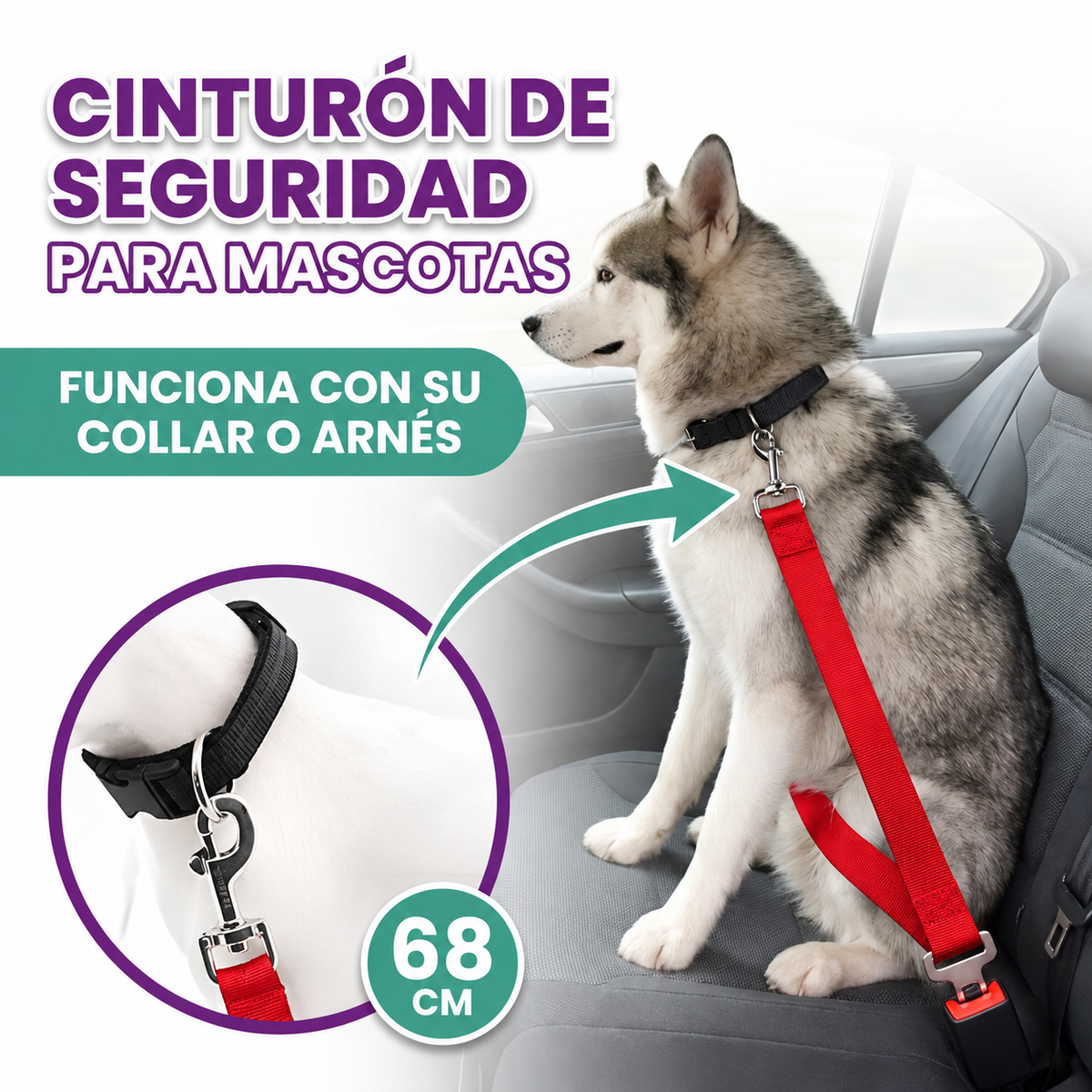 Correa de seguridad para mascotas en carros